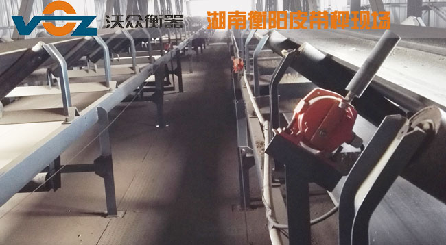 Ƥ���ӿ͑��F��