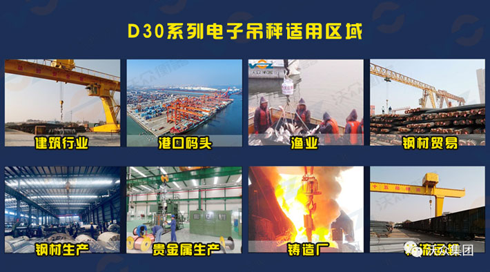 D30使用領域 D30使用領域